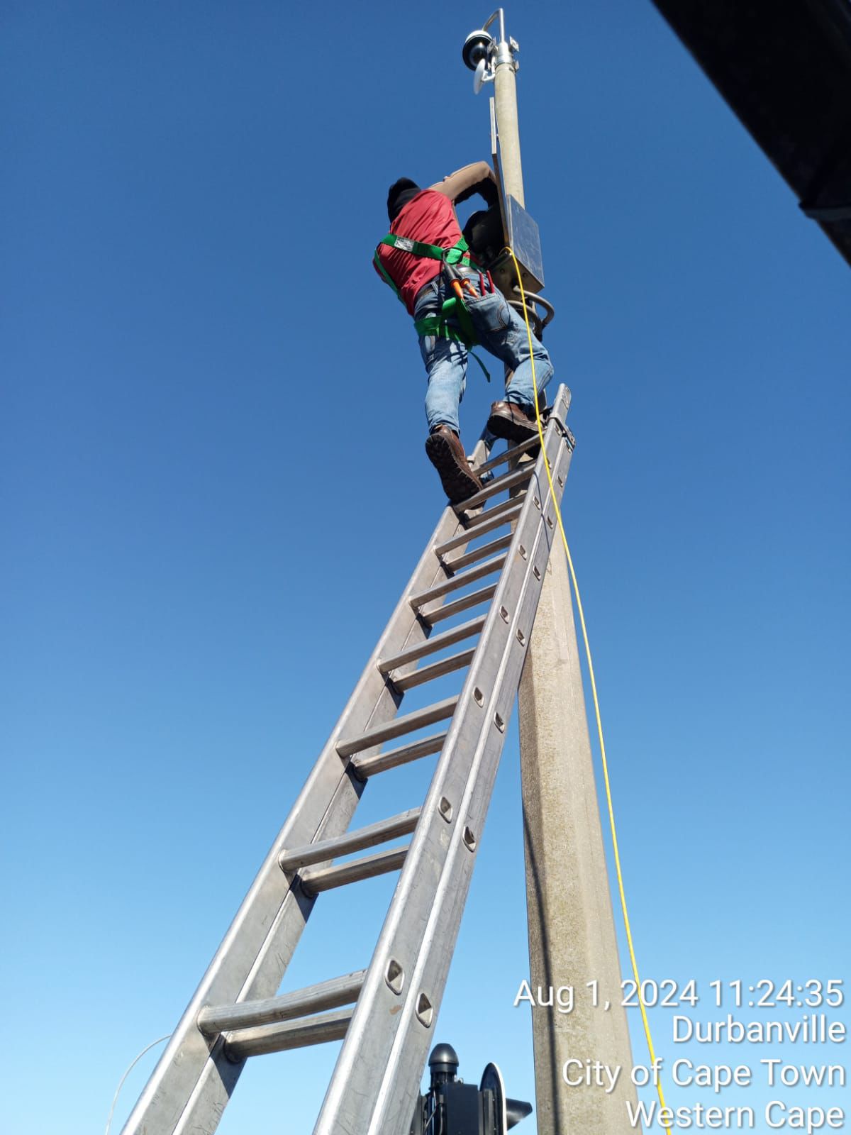 Electrician harnessed on a ladder installing equipment at the top of a pole in Durbanville